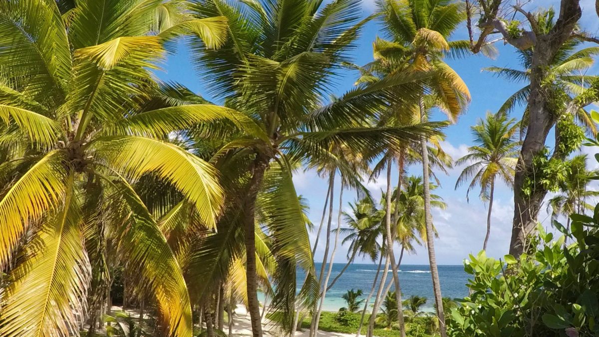 Louer une voiture en martinique pour un séjour en toute liberté