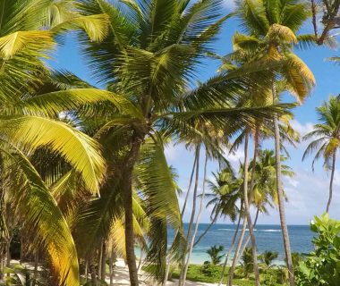 Louer une voiture en martinique pour un séjour en toute liberté